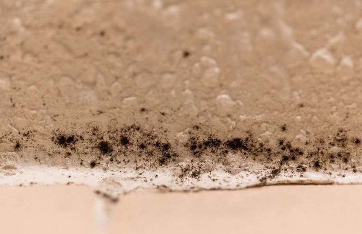 How to prevent bathroom mold without an exhaust fan as a renter