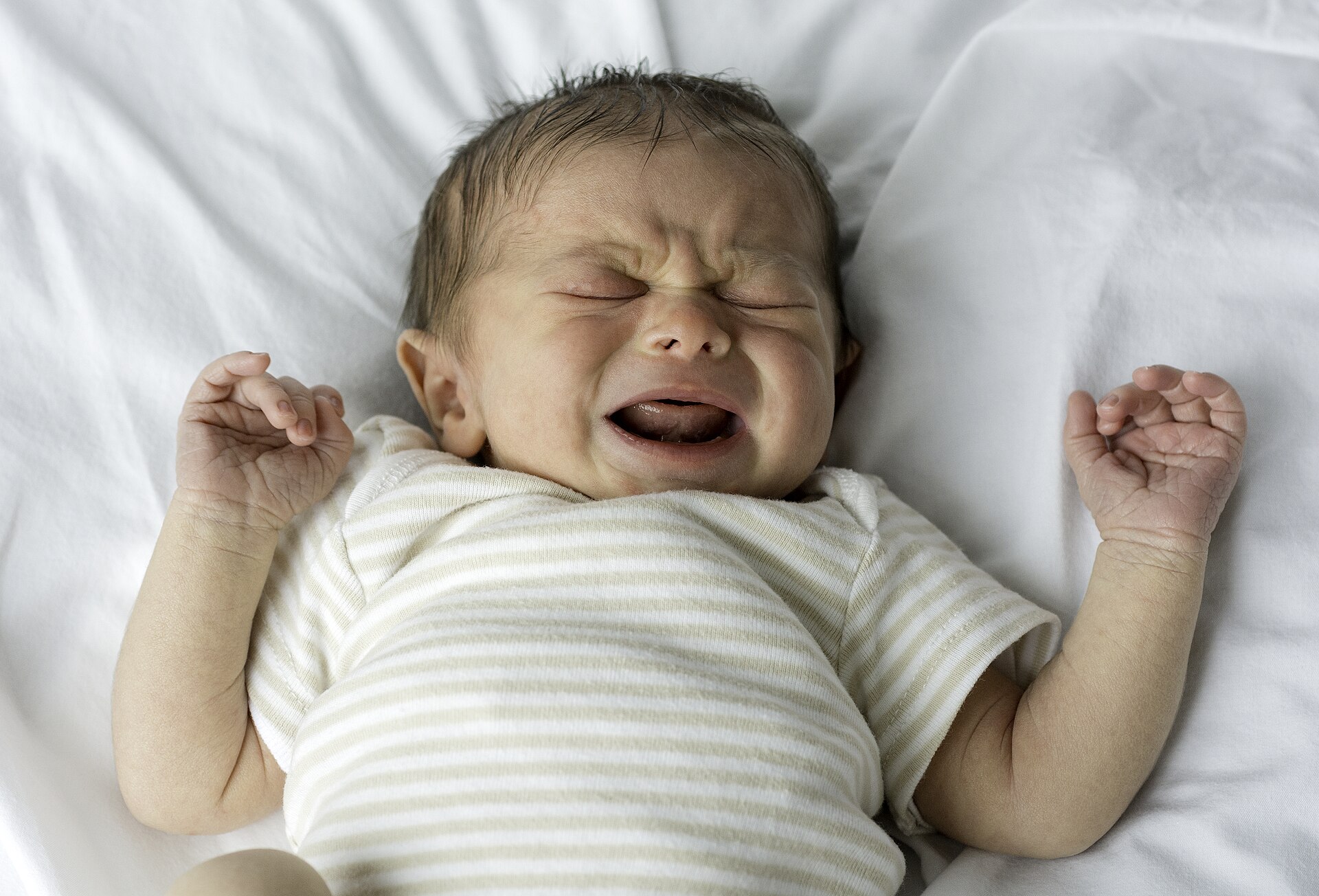 Why Toddlers Melt Down Over the Wrong Color Cup, Explained